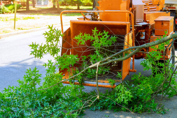 Best Aeration Services  in Lawrenceville, VA