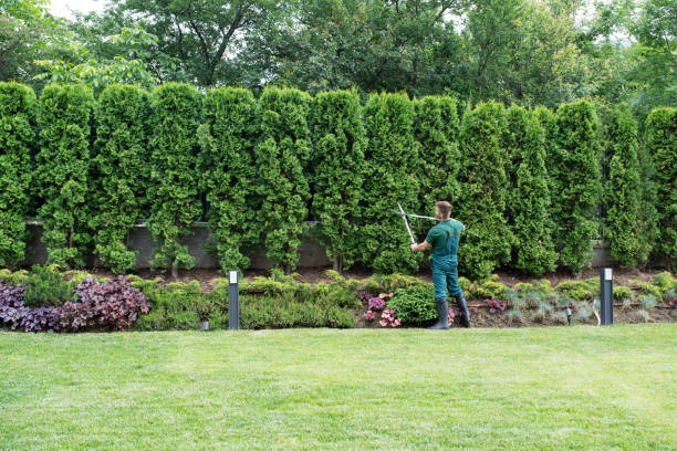  Lawrenceville, VA Tree Services Pros