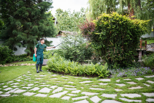 Lawn Renovation and Restoration in Lawrenceville, VA